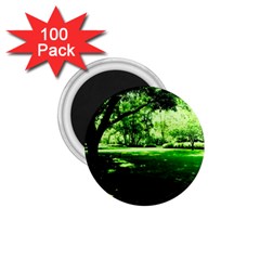 Lake Park 14 1 75  Magnets (100 Pack)  by bestdesignintheworld