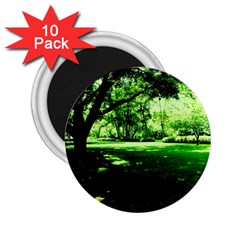 Lake Park 14 2 25  Magnets (10 Pack)  by bestdesignintheworld