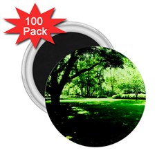 Lake Park 14 2 25  Magnets (100 Pack)  by bestdesignintheworld