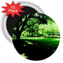 Lake Park 14 3  Magnets (10 Pack)  by bestdesignintheworld