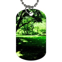 Lake Park 14 Dog Tag (one Side) by bestdesignintheworld