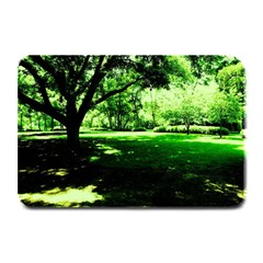 Lake Park 14 Plate Mats by bestdesignintheworld