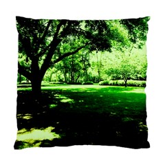 Lake Park 14 Standard Cushion Case (one Side) by bestdesignintheworld