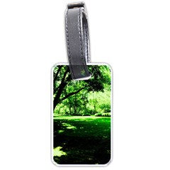 Lake Park 14 Luggage Tags (one Side)  by bestdesignintheworld