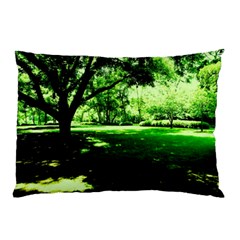 Lake Park 14 Pillow Case (two Sides) by bestdesignintheworld