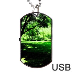 Lake Park 14 Dog Tag Usb Flash (two Sides) by bestdesignintheworld