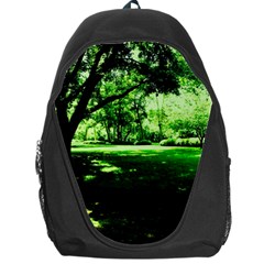 Lake Park 14 Backpack Bag by bestdesignintheworld