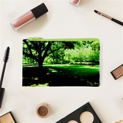 Lake Park 14 Cosmetic Bag (xs) by bestdesignintheworld