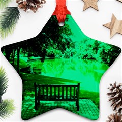 Lake Park 20 Ornament (star) by bestdesignintheworld