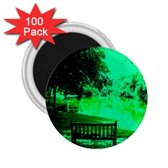 Lake Park 20 2 25  Magnets (100 Pack)  by bestdesignintheworld