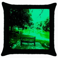 Lake Park 20 Throw Pillow Case (black) by bestdesignintheworld