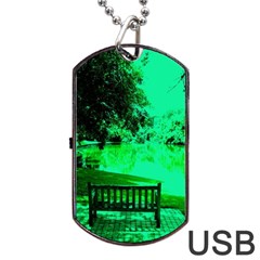 Lake Park 20 Dog Tag Usb Flash (two Sides) by bestdesignintheworld