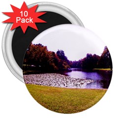 Highland Park 7 3  Magnets (10 Pack)  by bestdesignintheworld