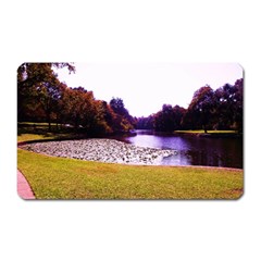 Highland Park 7 Magnet (rectangular) by bestdesignintheworld