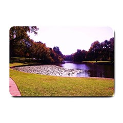 Highland Park 7 Small Doormat  by bestdesignintheworld