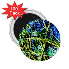 Moment Of The Haos 8 2 25  Magnets (100 Pack)  by bestdesignintheworld