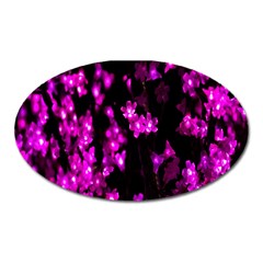 Abstract Background Purple Bright Oval Magnet by Sapixe