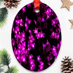 Abstract Background Purple Bright Oval Ornament (two Sides) by Sapixe