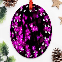 Abstract Background Purple Bright Oval Filigree Ornament (two Sides) by Sapixe