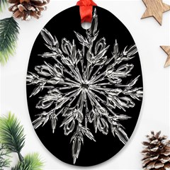 Ice Crystal Ice Form Frost Fabric Ornament (oval) by Sapixe