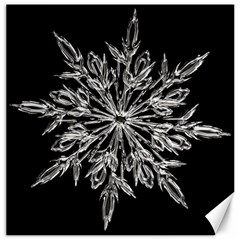 Ice Crystal Ice Form Frost Fabric Canvas 12  X 12   by Sapixe