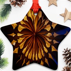 Light Star Lighting Lamp Ornament (Star)