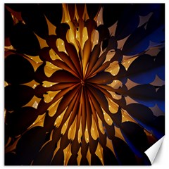 Light Star Lighting Lamp Canvas 20  x 20  