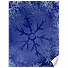 Winter Hardest Frost Cold Canvas 12  X 16   by Sapixe