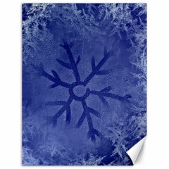 Winter Hardest Frost Cold Canvas 18  X 24   by Sapixe