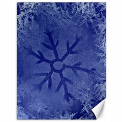 Winter Hardest Frost Cold Canvas 36  X 48   by Sapixe