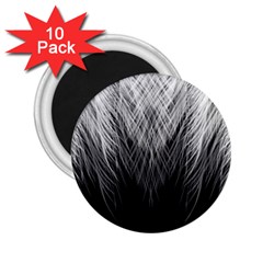 Feather Graphic Design Background 2 25  Magnets (10 Pack) 