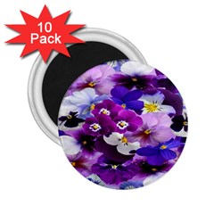 Graphic Background Pansy Easter 2 25  Magnets (10 Pack) 