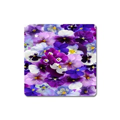 Graphic Background Pansy Easter Square Magnet by Sapixe