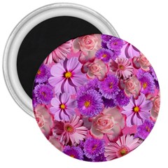 Flowers Blossom Bloom Nature Color 3  Magnets by Sapixe