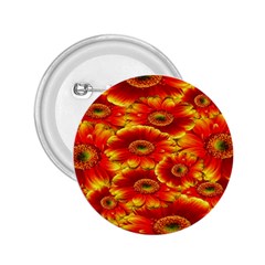 Gerbera Flowers Nature Plant 2 25  Buttons by Sapixe