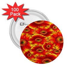 Gerbera Flowers Nature Plant 2 25  Buttons (100 Pack)  by Sapixe