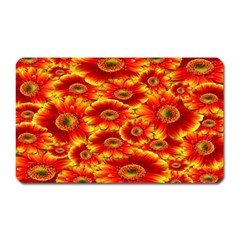 Gerbera Flowers Nature Plant Magnet (rectangular) by Sapixe