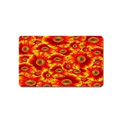 Gerbera Flowers Nature Plant Magnet (name Card) by Sapixe