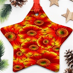 Gerbera Flowers Nature Plant Star Ornament (two Sides) by Sapixe