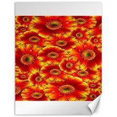 Gerbera Flowers Nature Plant Canvas 12  X 16   by Sapixe