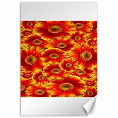 Gerbera Flowers Nature Plant Canvas 20  X 30   by Sapixe