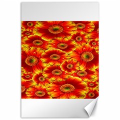 Gerbera Flowers Nature Plant Canvas 24  X 36  by Sapixe