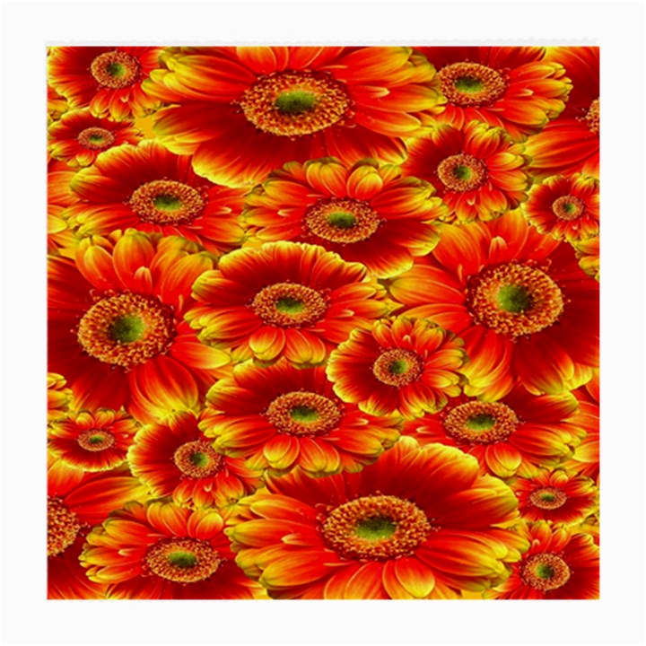 Gerbera Flowers Nature Plant Medium Glasses Cloth