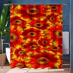 Gerbera Flowers Nature Plant Shower Curtain 60  X 72  (medium)  by Sapixe