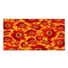 Gerbera Flowers Nature Plant Satin Shawl by Sapixe