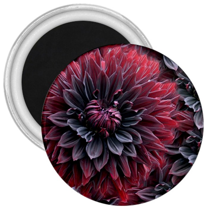 Flower Fractals Pattern Design Creative 3  Magnets