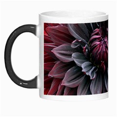 Flower Fractals Pattern Design Creative Morph Mugs by Sapixe