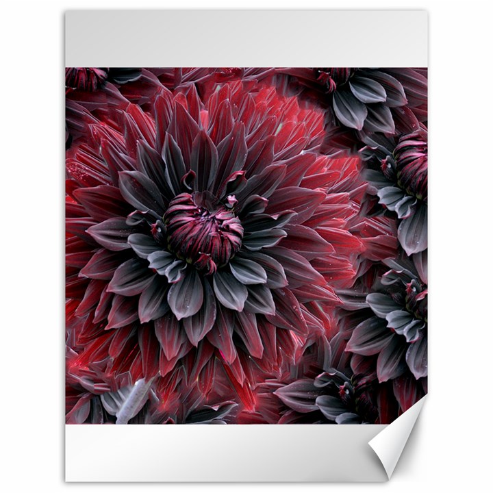 Flower Fractals Pattern Design Creative Canvas 12  x 16  