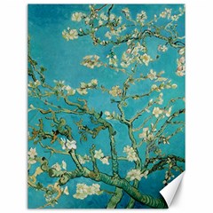 Almond Blossom  Canvas 12  X 16   by Valentinaart