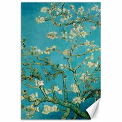 Almond Blossom  Canvas 20  X 30   by Valentinaart